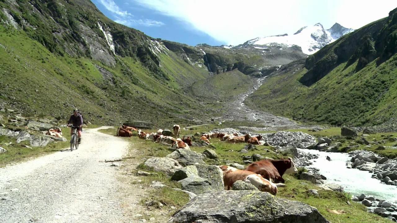 Ferienwohnung Jägerstube Fritz Wald im Pinzgau Exterior foto